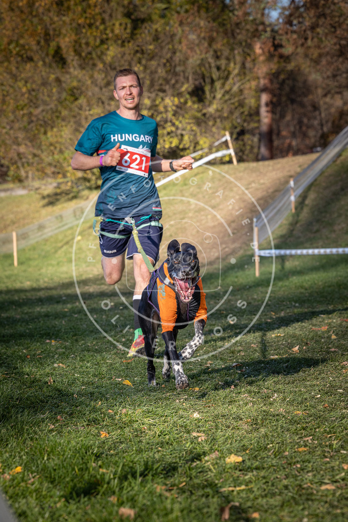 CaniXpix_0L8A8790 | Hundefotografie, Tierfotograf, Pfotenfotografie, Fotoshooting Hund, Hunde Portrait, Hundesport, Hundeportraits, Heideshooting, Hunde, Sportfotograf, Hundefotograf, Turnierhundsport, THS,  - Realisiert mit Pictrs.com