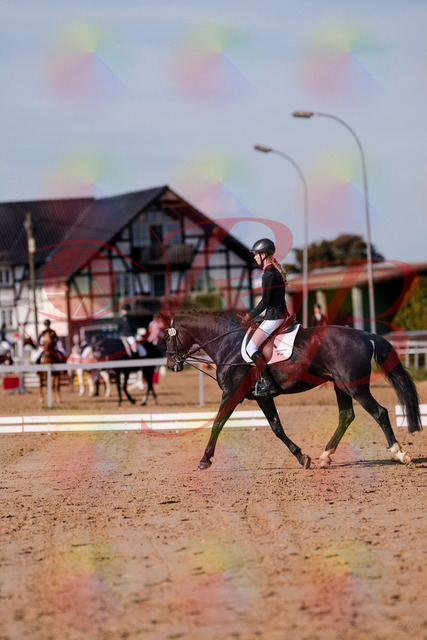 2026_10_03_Siefer-Hof_115442_Z81_94251567 | Professionelle Reitsport-, Turnier- und Eventfotografie von Robert Broda. Galerien mit ausgewählten und bearbeiteten Bildern direkt online ansehen und bestellen.
