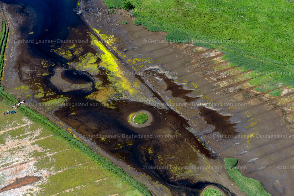 4037625 | Naturschutzgebiet Geltinger Birk bei Nieby