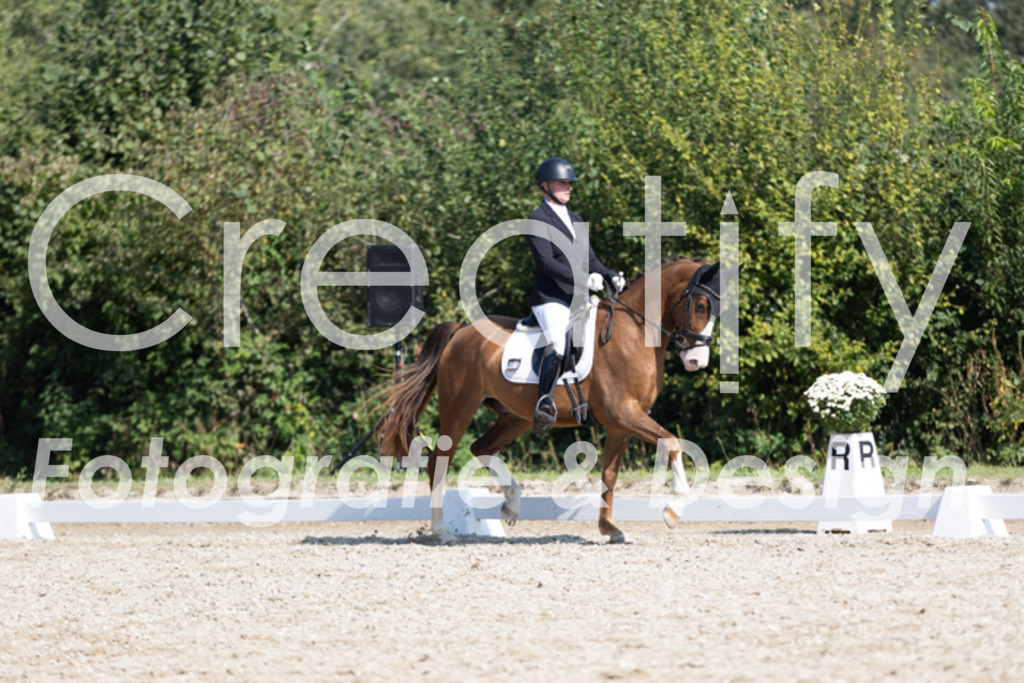 IMG_4877 | Creatify Fotografie