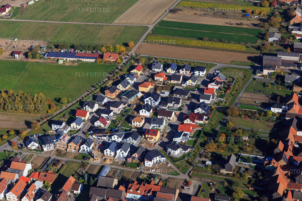 Luftbild: Neubaugebiet Pfarrer-Anselmann-Straße und Im Tabakfeld aus Westen in Hatzenbühl im Bundesland Rheinland-Pfalz in Deutschland. Foto: IMG_095341.jpg vom 30.10.2016 durch Werner Riehm/FLY-FOTO.de