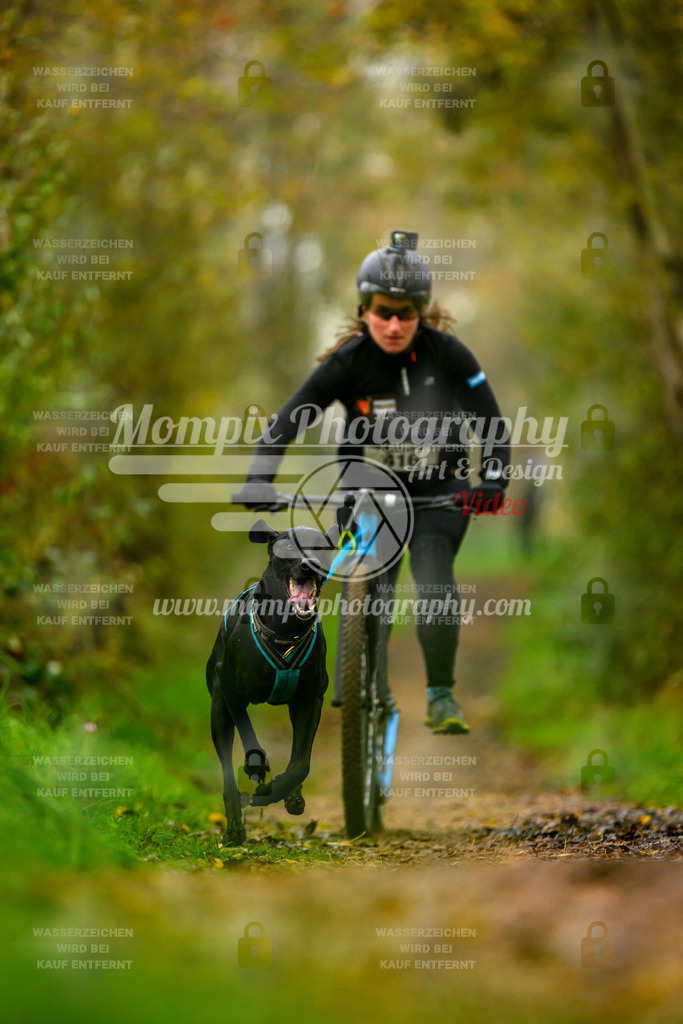 MompixPhotography_20TSB_E6_DS1-4 | PayLife