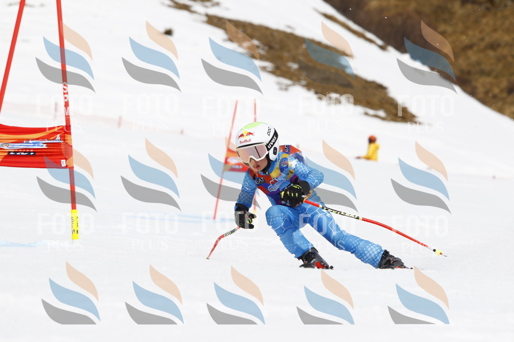 _U3G6175 | holidayphoto