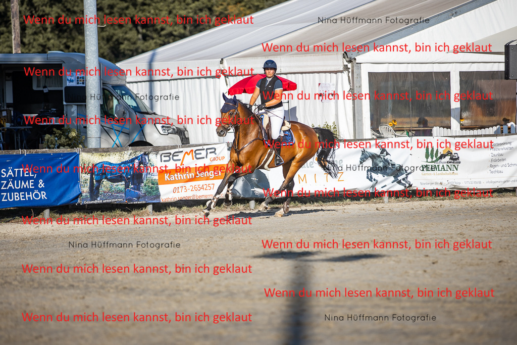 BK1A8662 | Turnierbilder Turnierfotos Nina Hüffmann Turnierfotografie Pferdefotografie Tierzeichnung Haustierzeichnung Pferdezeichnung Hundezeichnung Videograf  - Realisiert mit Pictrs.com