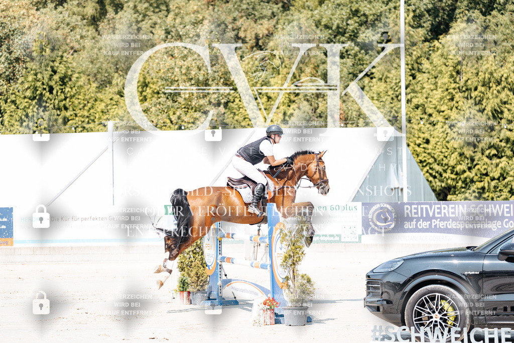CK901203 | Turnierfotografie Pferdefotografie Trier Rheinland-Pfalz Pferdesport Reitsport Tierfotografie Sportfotografie Pferdevideo Pferdevideografie Equestrianvideography equestrianphotography  - Realisiert mit Pictrs.com