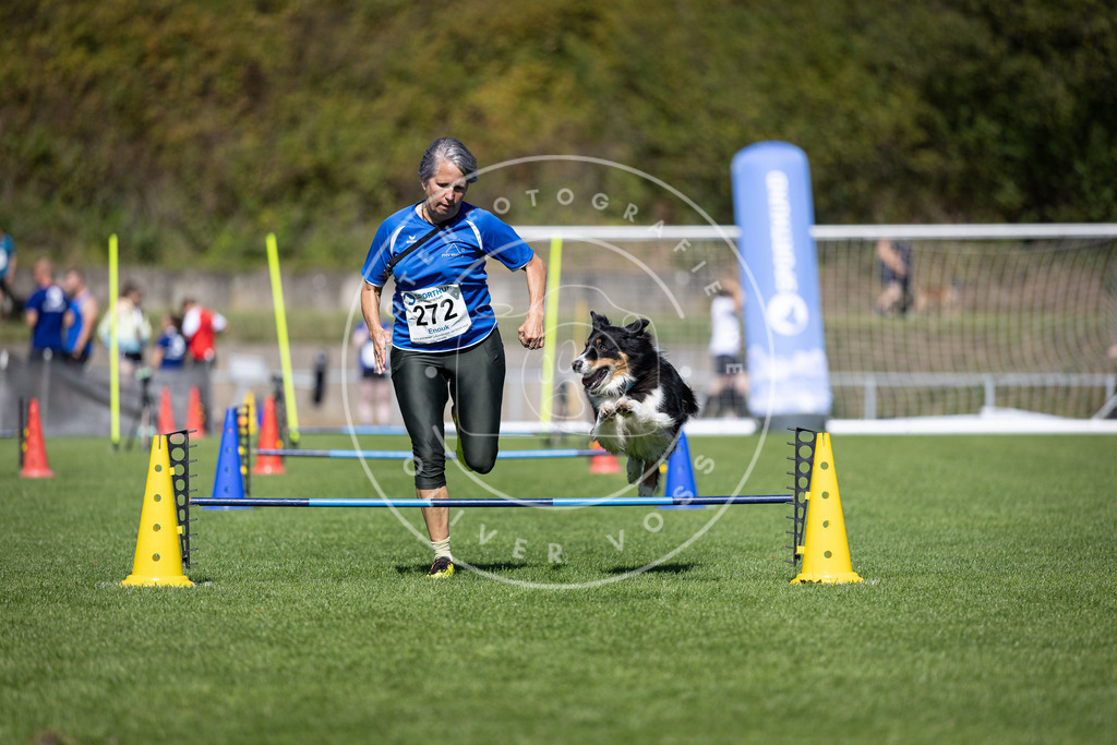Pfotenfotografie_DV3A6867 | Hundefotografie, Tierfotograf, Pfotenfotografie, Fotoshooting Hund, Hunde Portrait, Hundesport, Hundeportraits, Heideshooting, Hunde, Sportfotograf, Hundefotograf, Turnierhundsport, THS,  - Realisiert mit Pictrs.com
