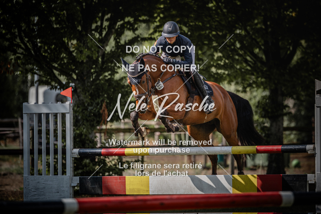nelerasche_SprL110Ede_89 | nelerasche