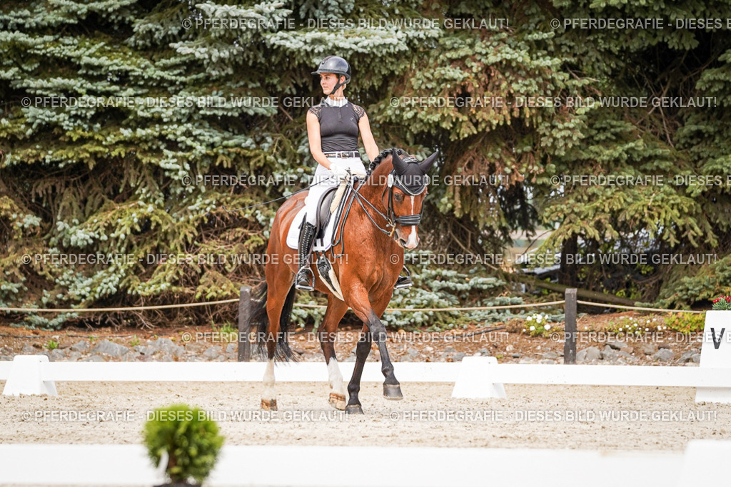 DSC05924 | Pferdegrafie