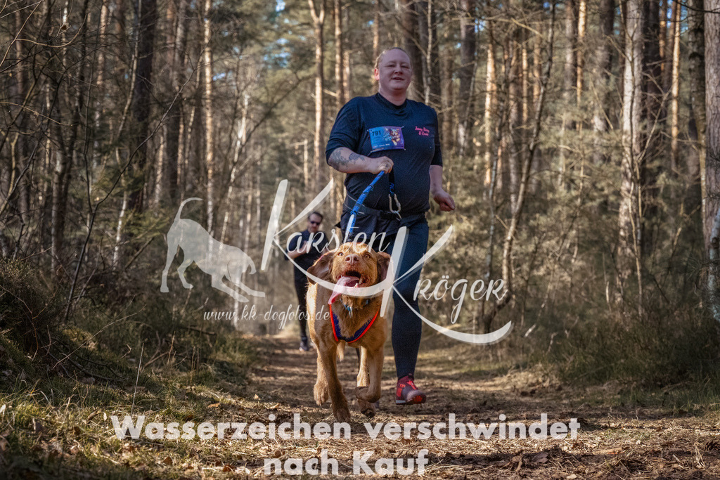 1218_ZZ93256-Bearbeitet | kk-dogfotos