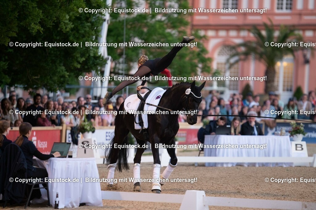 20230527_Voltigieren_NASPA_Flutlicht_0214 | equistock