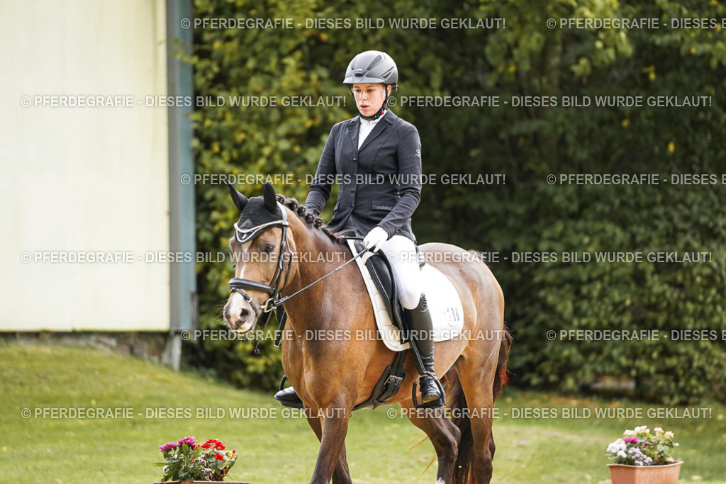 DSC01043 | Pferdegrafie