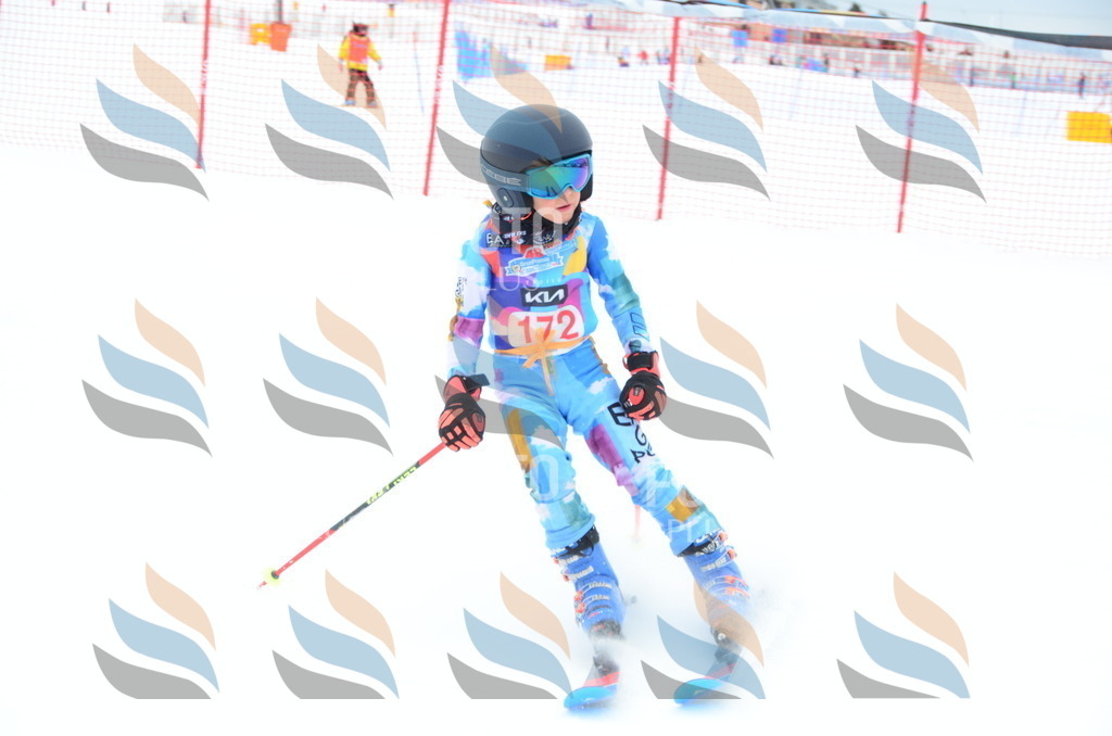 DSC_1619 | holidayphoto