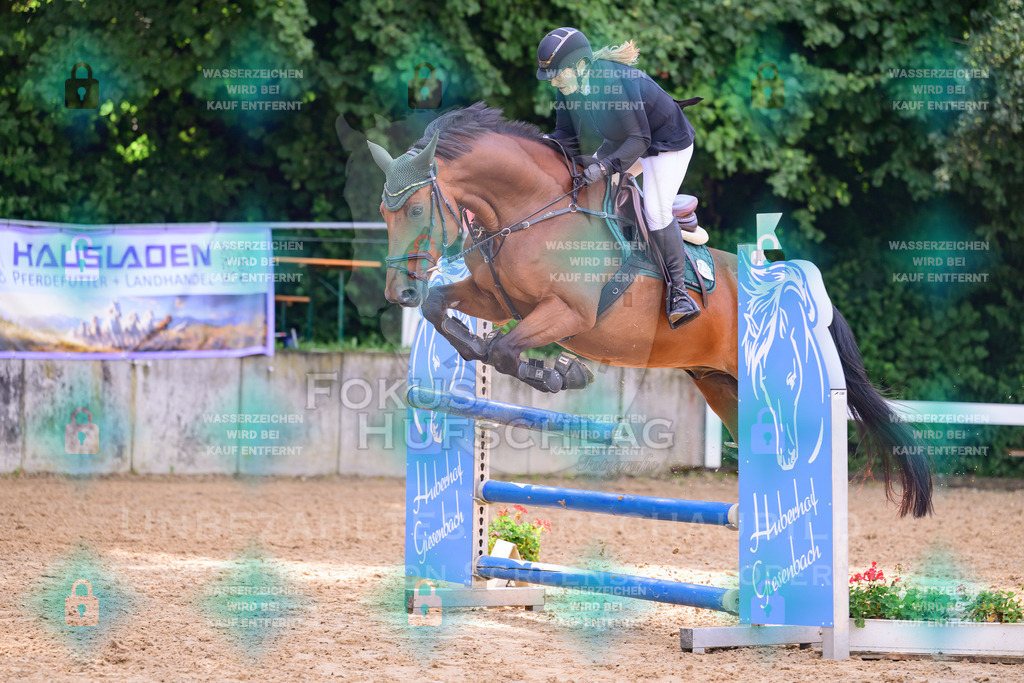 30082026-Giesenbach-Prfg16-0472 | Fokus Hufschlag Fotografie - Realisiert mit Pictrs.com