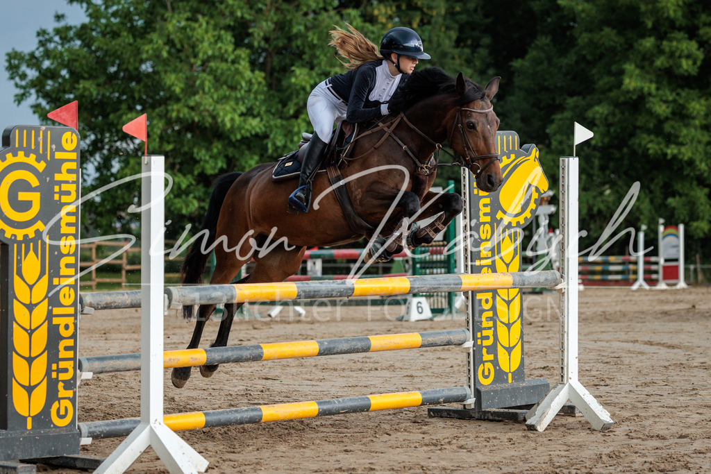20260531-_3LI3527 | Tierfotografie Pferde, Hunde, Katzen, Haustiere.
Turnierfotografie Reitturniere, Reiten, Springreiten, Dressur in Hanau, dem Main-Kinzig-Kreis und dem Rhein-Main- Gebiet um Frankfurt