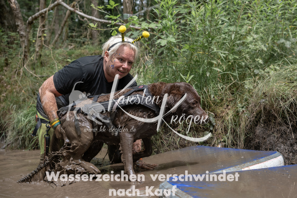 1336_ZZ94958 | kk-dogfotos