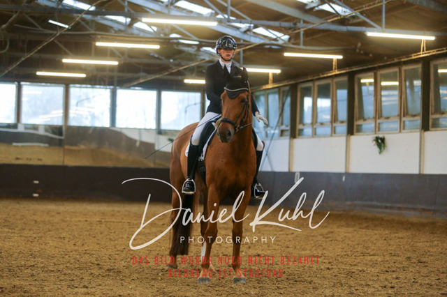 IMG_7689 | Turniersportfotografie; Pferdefotografie; Dressurfotografie