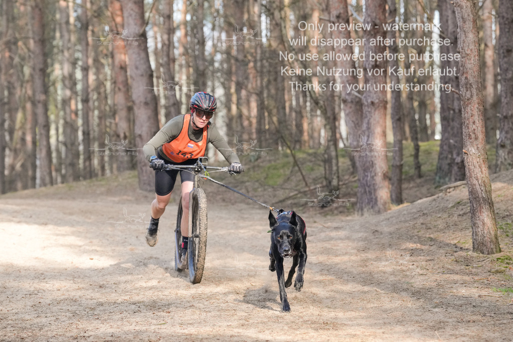 Scooter2-13 | stephaniefillaphotographie - Realisiert mit Pictrs.com