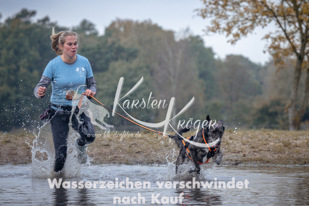 1155_ZZ97342 | kk-dogfotos