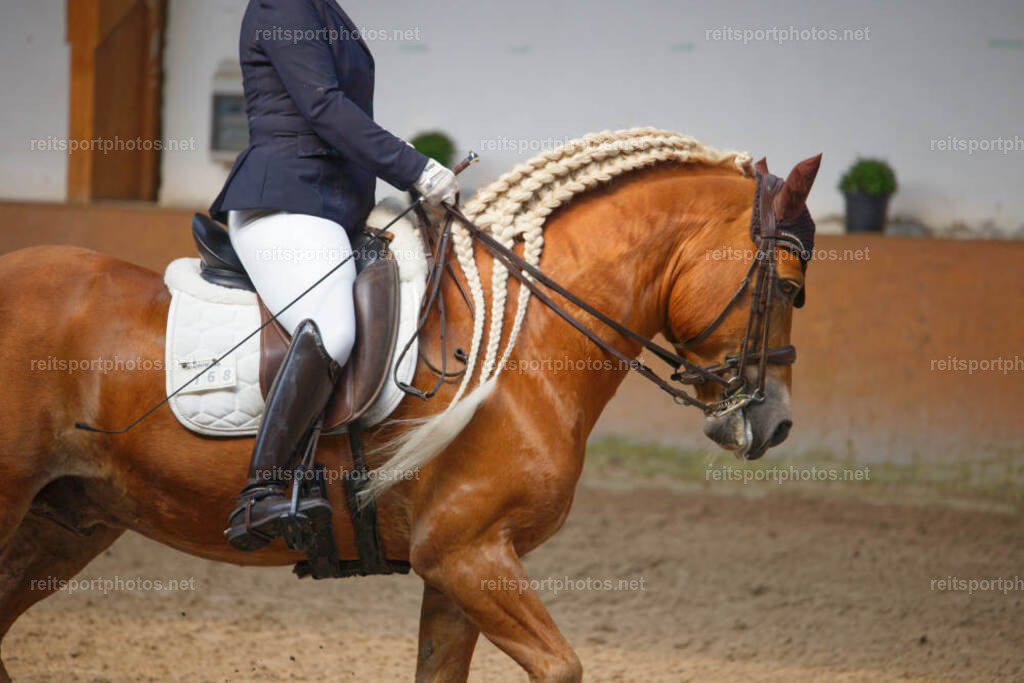 JHE_1649 | JoYa Fotografie - Realisiert mit Pictrs.com