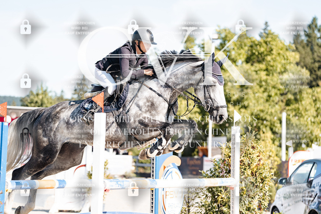 CK904664 | Turnierfotografie Pferdefotografie Trier Rheinland-Pfalz Pferdesport Reitsport Tierfotografie Sportfotografie Pferdevideo Pferdevideografie Equestrianvideography equestrianphotography  - Realisiert mit Pictrs.com