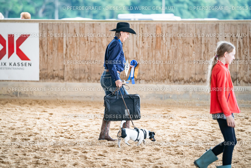 DSC09289 | Pferdegrafie