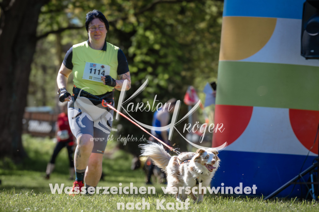1008_ZZ94378 | kk-dogfotos