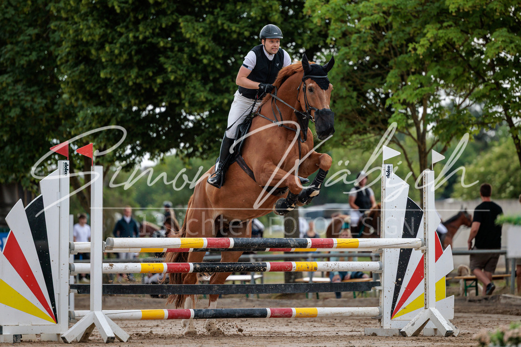20260531-_3LI3267 | Tierfotografie Pferde, Hunde, Katzen, Haustiere.
Turnierfotografie Reitturniere, Reiten, Springreiten, Dressur in Hanau, dem Main-Kinzig-Kreis und dem Rhein-Main- Gebiet um Frankfurt