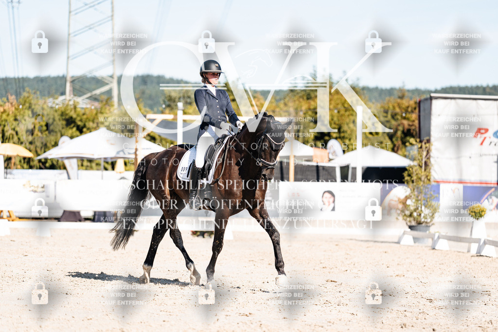 CK907851 | Turnierfotografie Pferdefotografie Trier Rheinland-Pfalz Pferdesport Reitsport Tierfotografie Sportfotografie Pferdevideo Pferdevideografie Equestrianvideography equestrianphotography  - Realisiert mit Pictrs.com