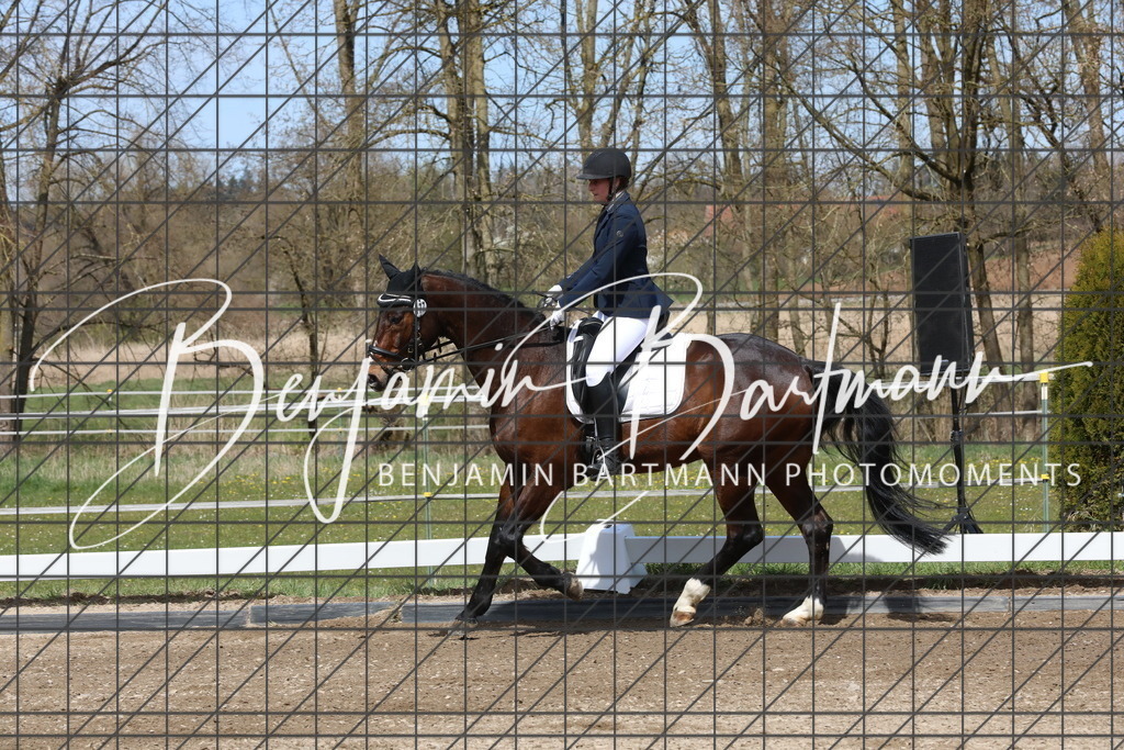 AZ2A3906 | Benjamin Bartmann Photomoments