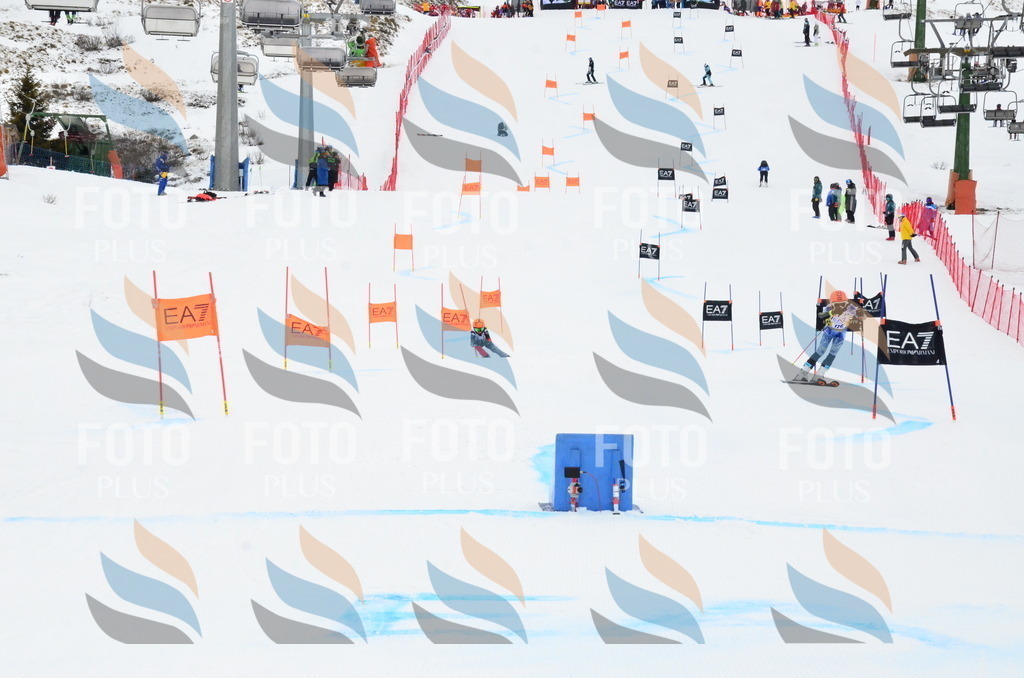 _ELE3929 | holidayphoto