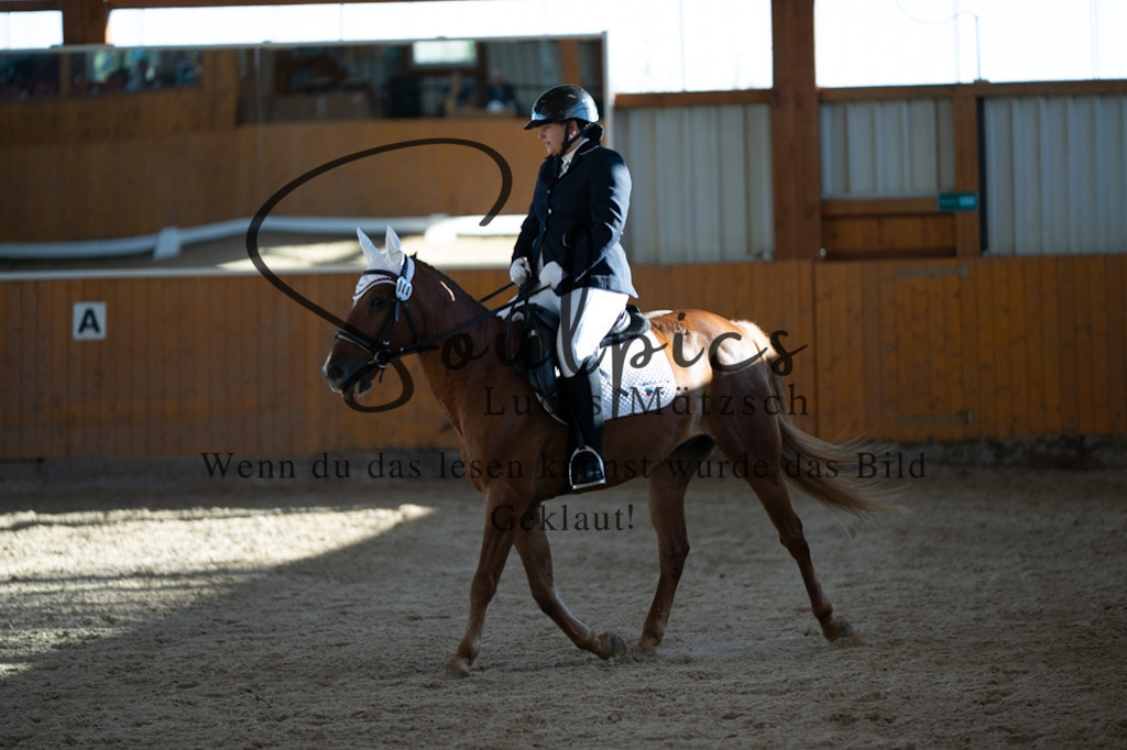 A7V01733 | Turnier/Reitfotograf