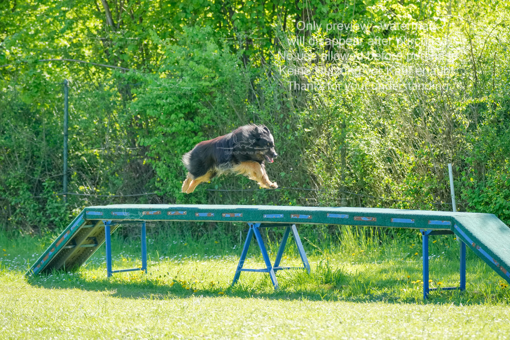 Sa_VK3_03-23 | stephaniefillaphotographie - Realisiert mit Pictrs.com