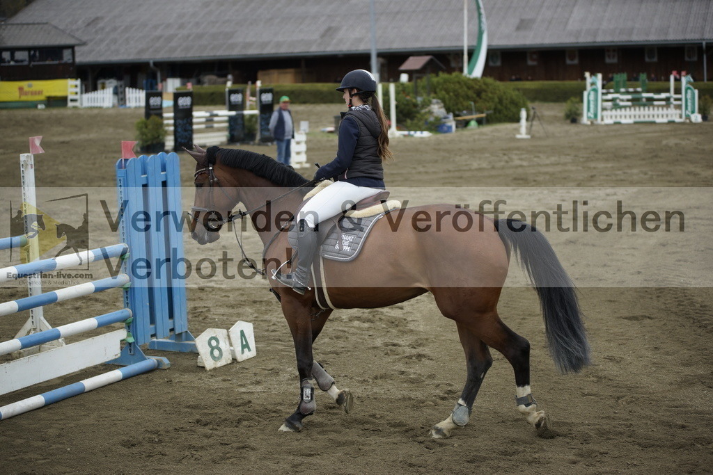 _DSC7383 | equestrian-live-com