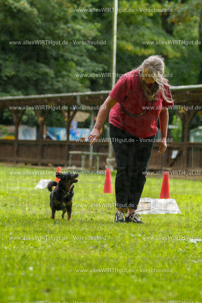 @allesWIRTHgut_Tierfotografie - www.allesWIRTHgut.de - 090359-7R506486 | Professionelle Tierfotografie in Mönchengladbach von Daniel Wirth (allesWIRTHgut). Liebevolle & natürliche Bilder von Hunden & Katzen für unvergessliche Erinnerungen.