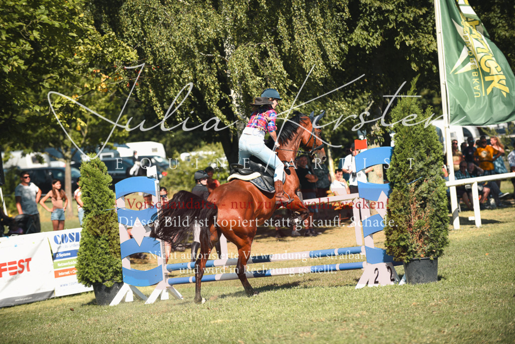 DSC_7732 | Pferde- und Turnierfotografie in Westsachsen. Pferdeportraits, Auftragszeichnungen und intuitive Kunst.