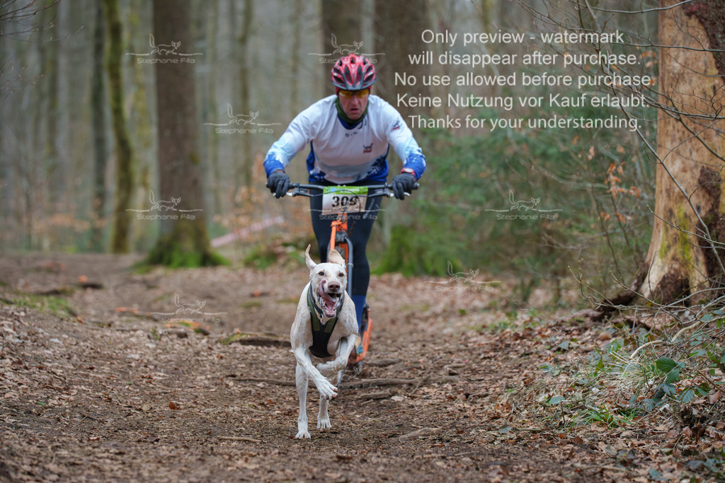 Scooter_So-91 | stephaniefillaphotographie - Realisiert mit Pictrs.com