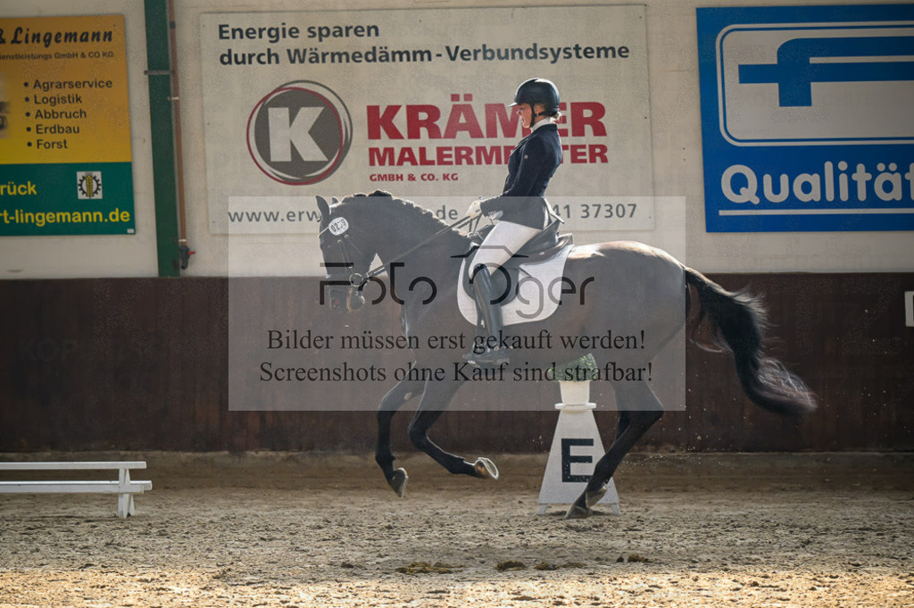 Reitturnier Voxtrup | Entdecke hochwertige Reitturnierfotos von Foto Oger. Professionell, emotional und authentisch – jetzt Lieblingsmomente im Shop bestellen.Deutschlandweite Turnierfotografie. - Realisiert mit Pictrs.com