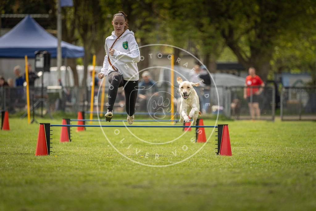 Pfotenfotografie_DV3A5924 | Hundefotografie, Tierfotograf, Pfotenfotografie, Fotoshooting Hund, Hunde Portrait, Hundesport, Hundeportraits, Heideshooting, Hunde, Sportfotograf, Hundefotograf, Turnierhundsport, THS,  - Realisiert mit Pictrs.com
