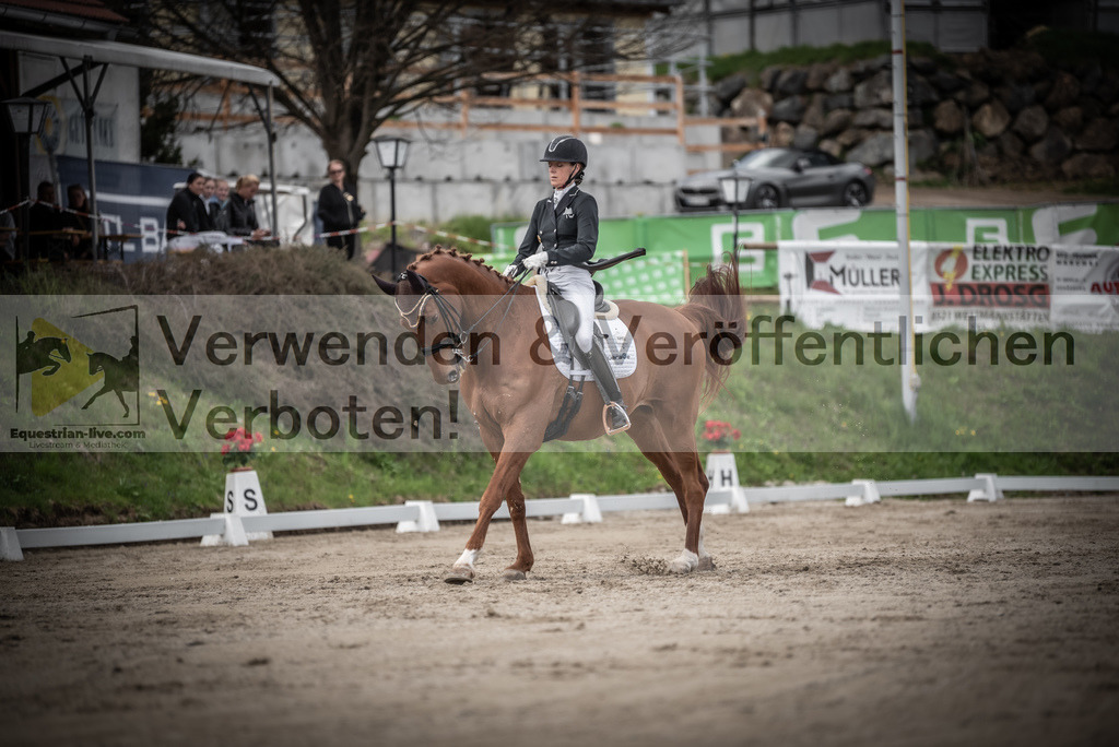 DSC_3103 | equestrian-live-com