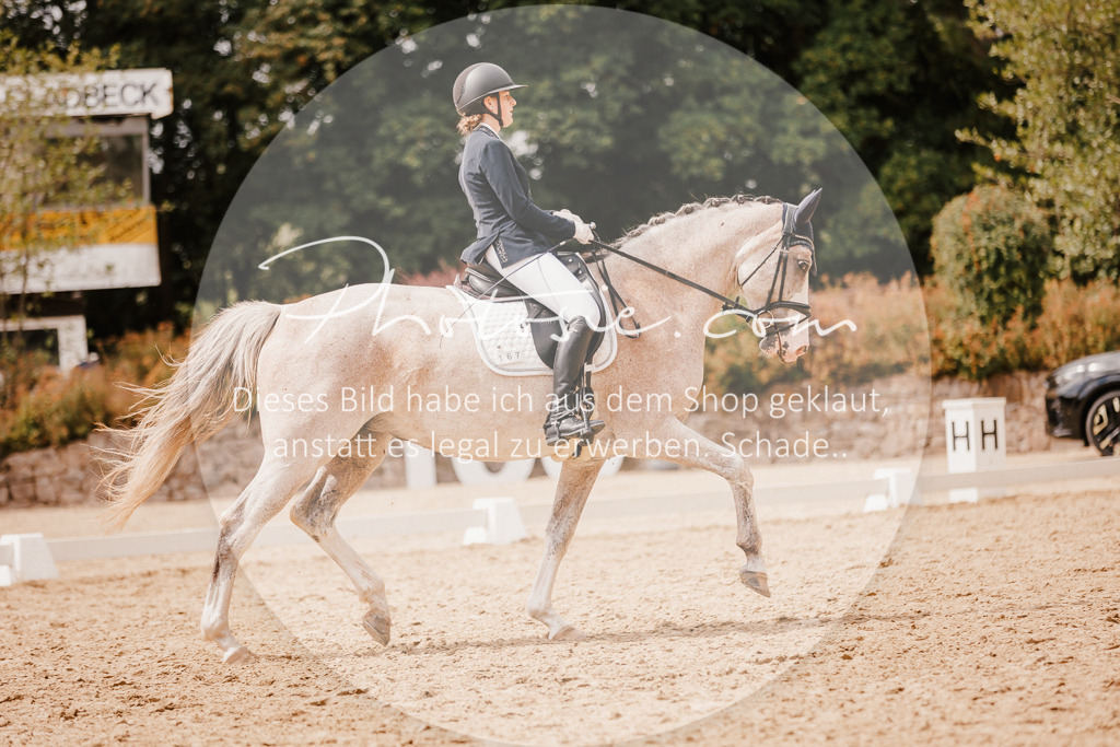 3I6A6160 | Stimmungsvolle Portraits und Reitsportfotografie im Ruhrgebiet und im Münsterland.

Pferdefotografie, Hundefotografie, Tierfotografie, Reportagen, Portraits von Tier und Mensch, Turnierfotografie in Bochum, Recklinghausen, Marl, Haltern am See, Dülmen.. - Realisiert mit Pictrs.com