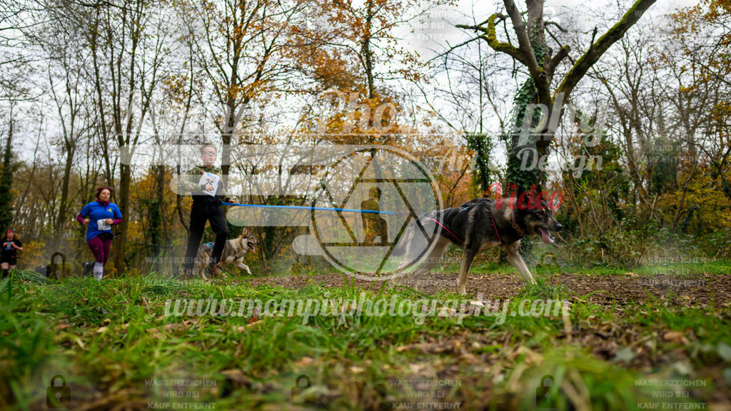 MompixPhotography_Bischwiller24_DI_CoursedeRelais-25 | PayLife