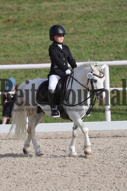 Birkhof_2024_Prfg.Nr.01_Dressur-WB_Sophia Schmid_Dukeshill Polar Express (9) | Alle Fotos der Reiterjournal Fotografin Doris Matthaes im Reiterjournal Online-Fotoshop. - Realisiert mit Pictrs.com