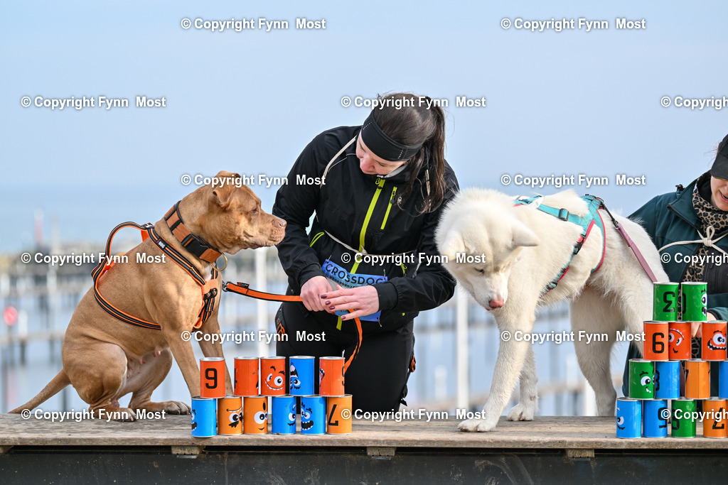 DSC_4795 | Hallo und herzlich Willkommen auf meiner Shop-Seite Fynn Most.

Ich wünsche Dir viel Spaß beim stöbern durch die Bilder, wenn Du Fragen hast oder Bilder vermisst, kannst du mir gerne eine Nachricht schreiben. - Realisiert mit Pictrs.com