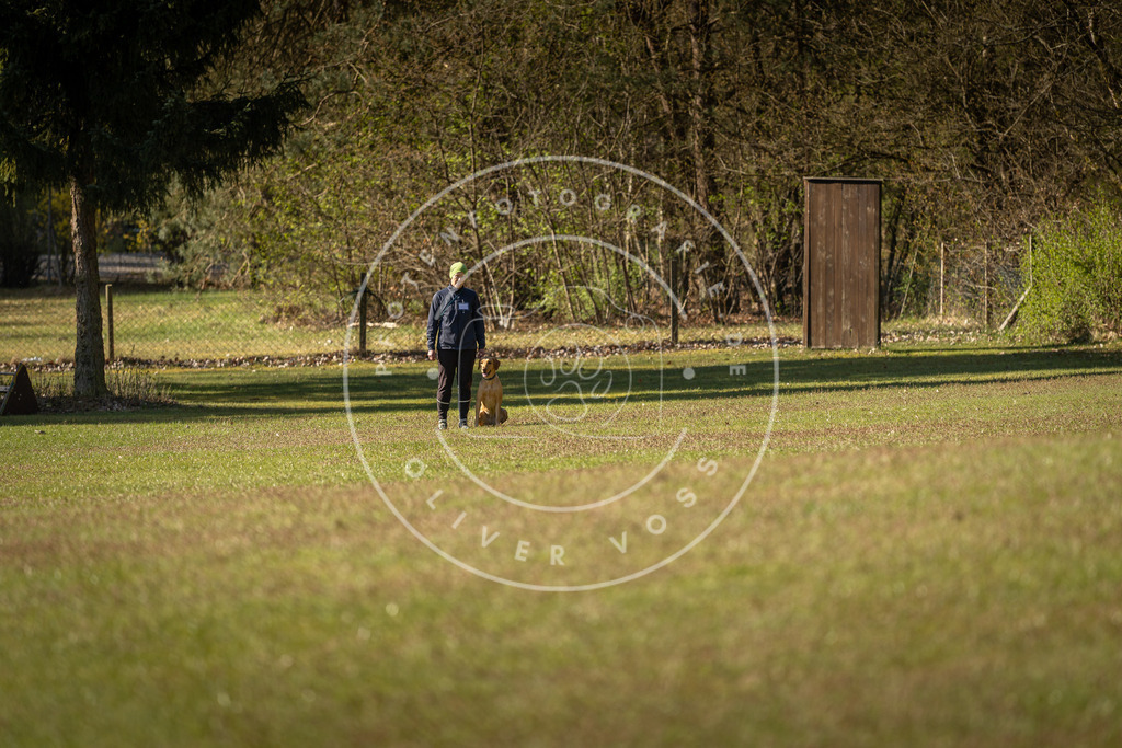 Pfotenfotografie_DV3A0114 | Hundefotografie, Tierfotograf, Pfotenfotografie, Fotoshooting Hund, Hunde Portrait, Hundesport, Hundeportraits, Heideshooting, Hunde, Sportfotograf, Hundefotograf, Turnierhundsport, THS,  - Realisiert mit Pictrs.com