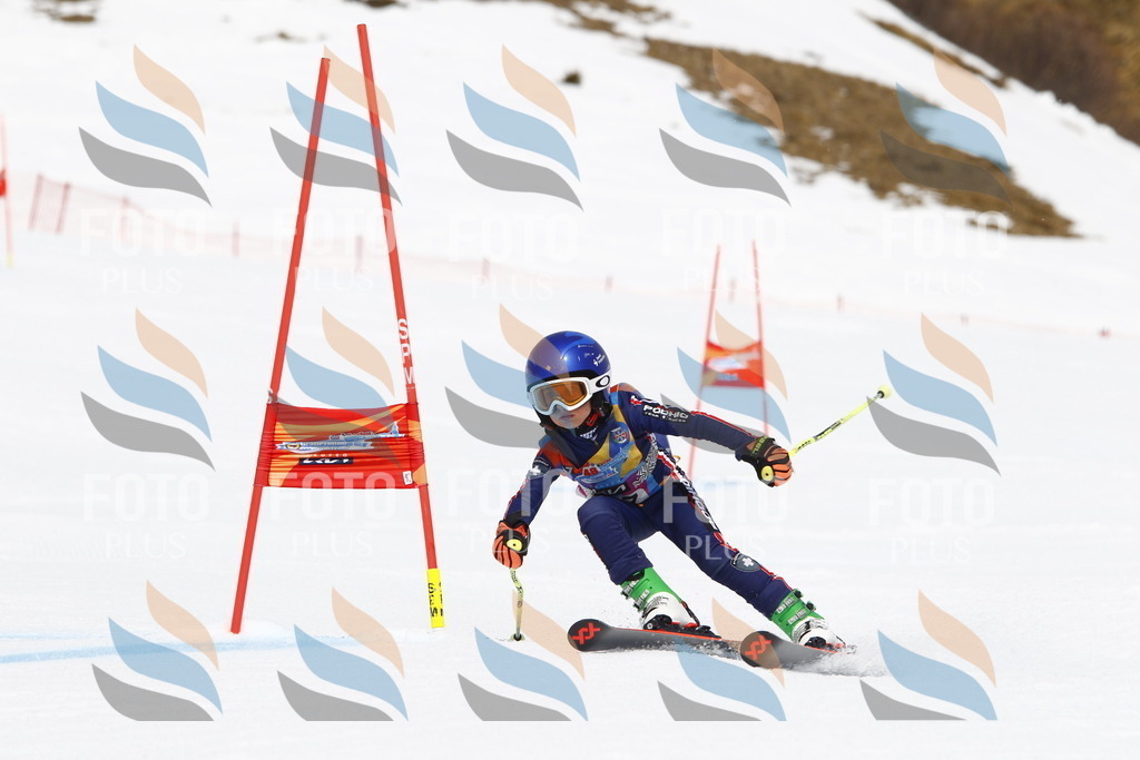 _U3G6702 | holidayphoto