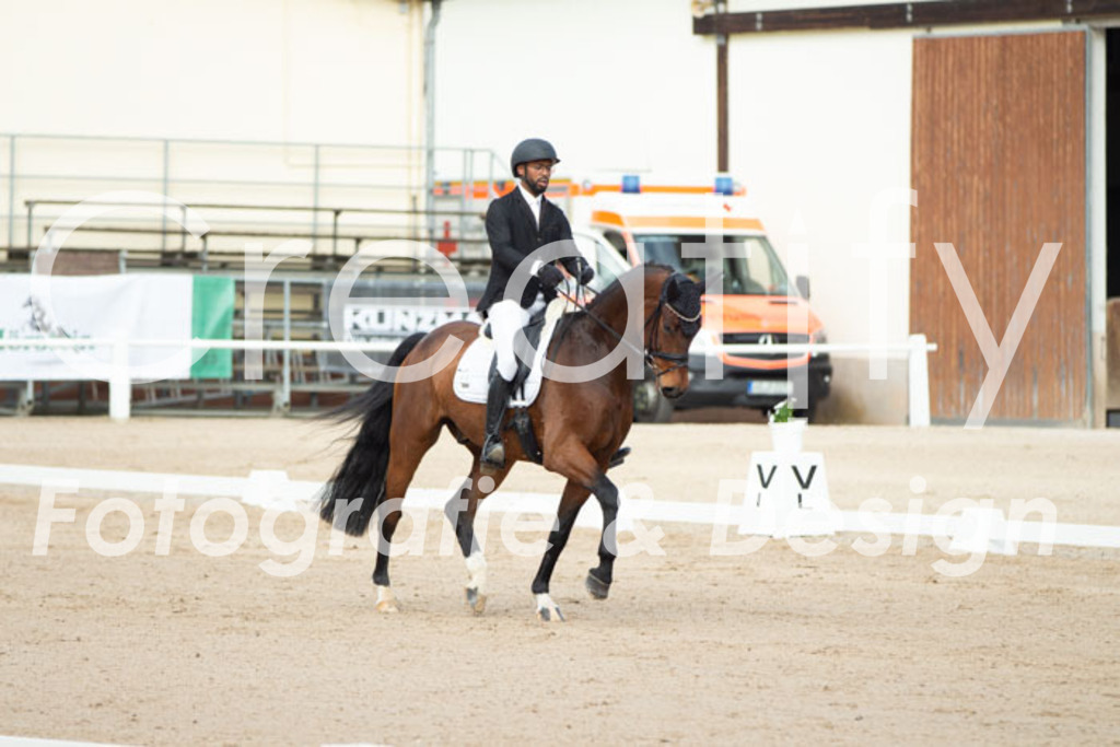 IMG_0454 | Creatify Fotografie