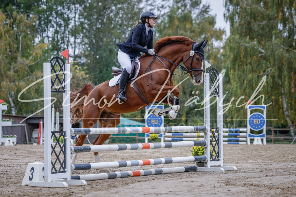 20251012-_3LI3232 | Tierfotografie Pferde, Hunde, Katzen, Haustiere.
Turnierfotografie Reitturniere, Reiten, Springreiten, Dressur in Hanau, dem Main-Kinzig-Kreis und dem Rhein-Main- Gebiet um Frankfurt