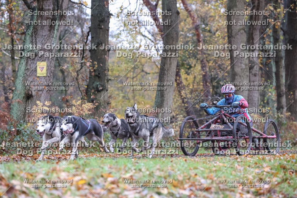 Dog Paparazzi - Ströhen 25-31 | Dog Paparazzi Jeanette Grottendiek Fotografie & Videografie