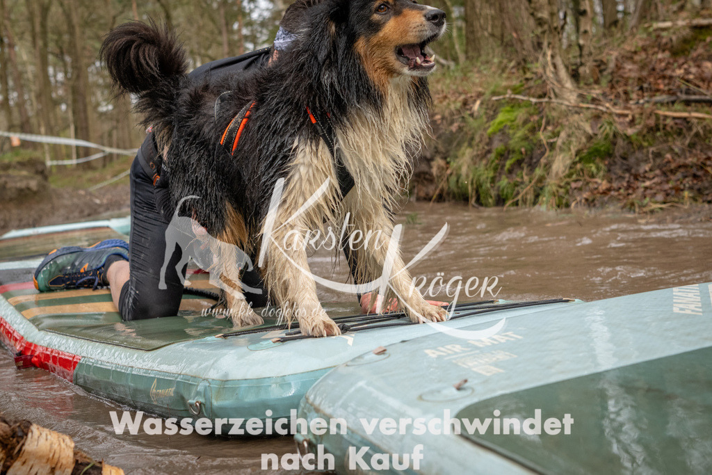 1032_ZZ93925 | kk-dogfotos