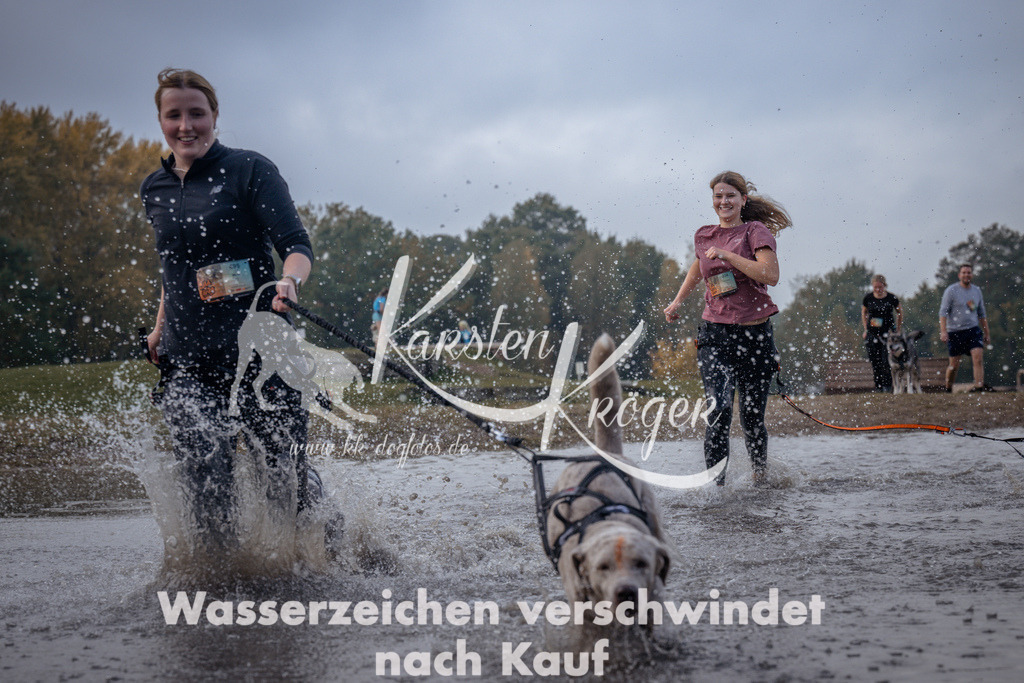 1145_ZZ96502 | kk-dogfotos